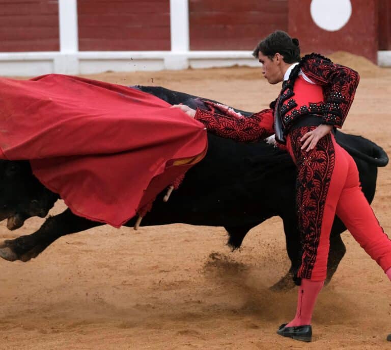 La alcaldesa de Gijón deja a la ciudad sin toros tras la polémica de 'Feminista' y 'Nigeriano'