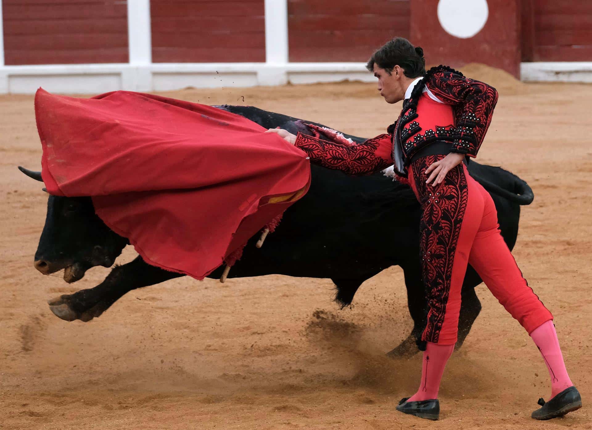 Daniel Luque lidia un toro durante la feria de Gijón, este fin de semana.