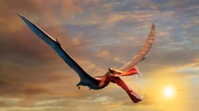 El dinosaurio volador de Australia: "Es lo más parecido que tenemos a un dragón"