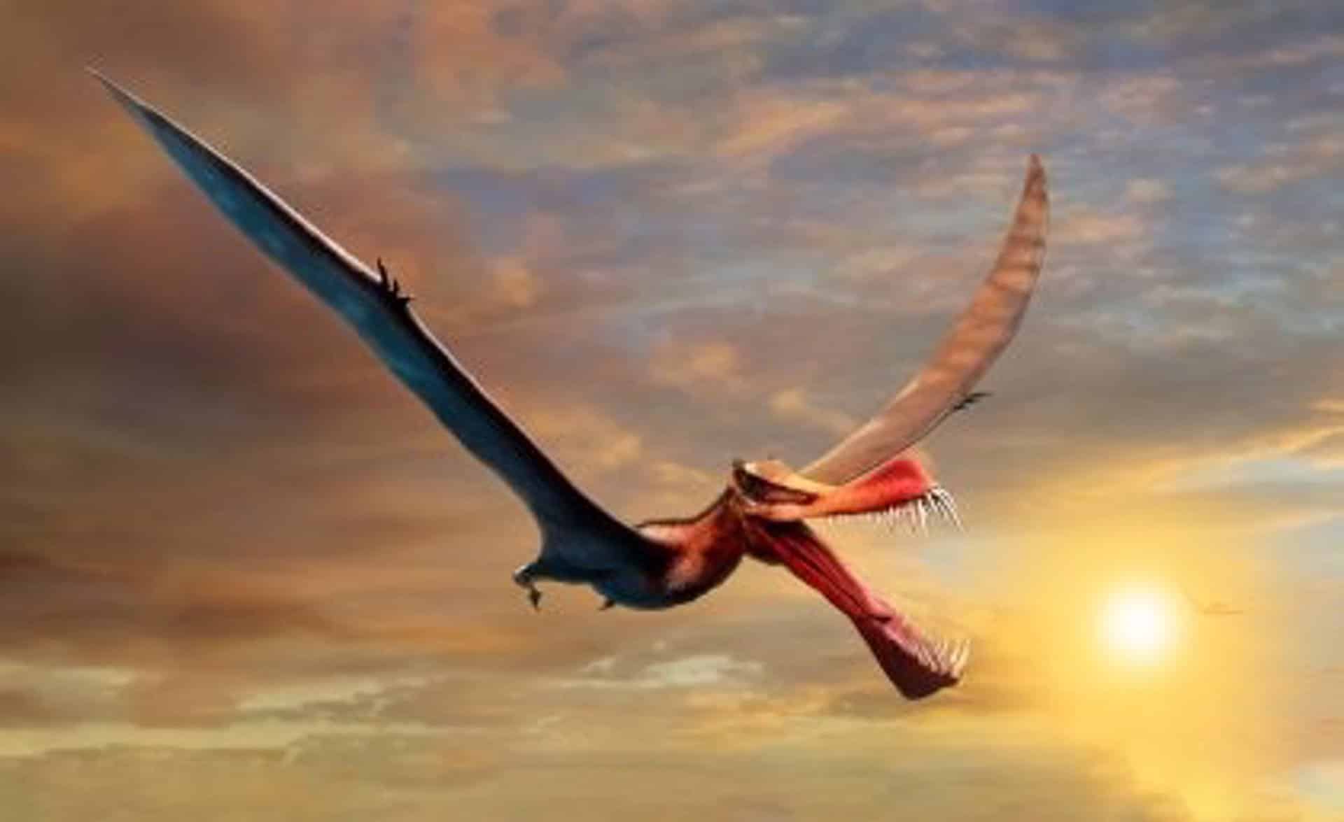 El dinosaurio volador de Australia: 