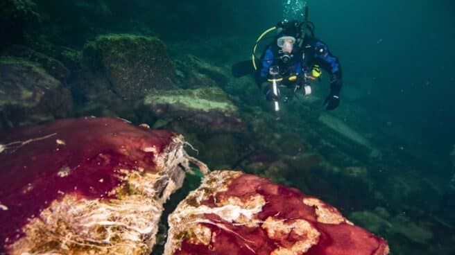 Una rotación más lenta propició más oxígeno en la Tierra primitiva imagen submarina de un buzo