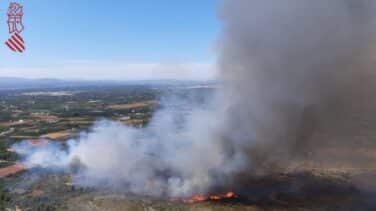 Un incendio forestal en Valencia obliga a desalojar dos urbanizaciones