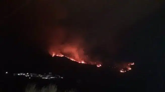 Declarado un incendio forestal en Almegíjar