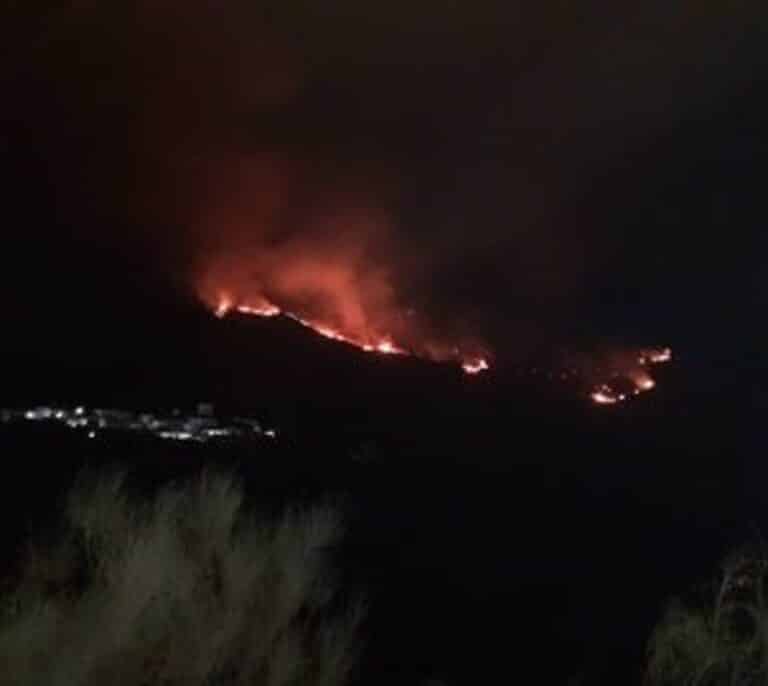 Declarado un incendio forestal en Almegíjar