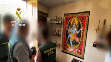 Detienen a un matrimonio que hacía rituales en Alicante con escamas de sapo bufo