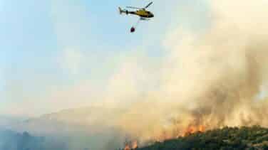 Un incendio en Cebreros (Ávila) obliga a desplegar a un centenar de militares y una máquina pesada