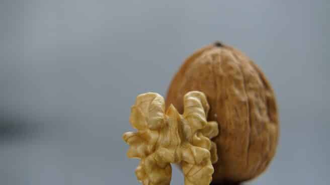 Nueces. Nueces,