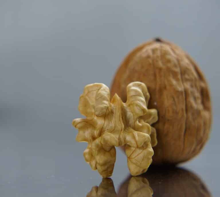 El consumo de nueces y el aumento de la esperanza de vida