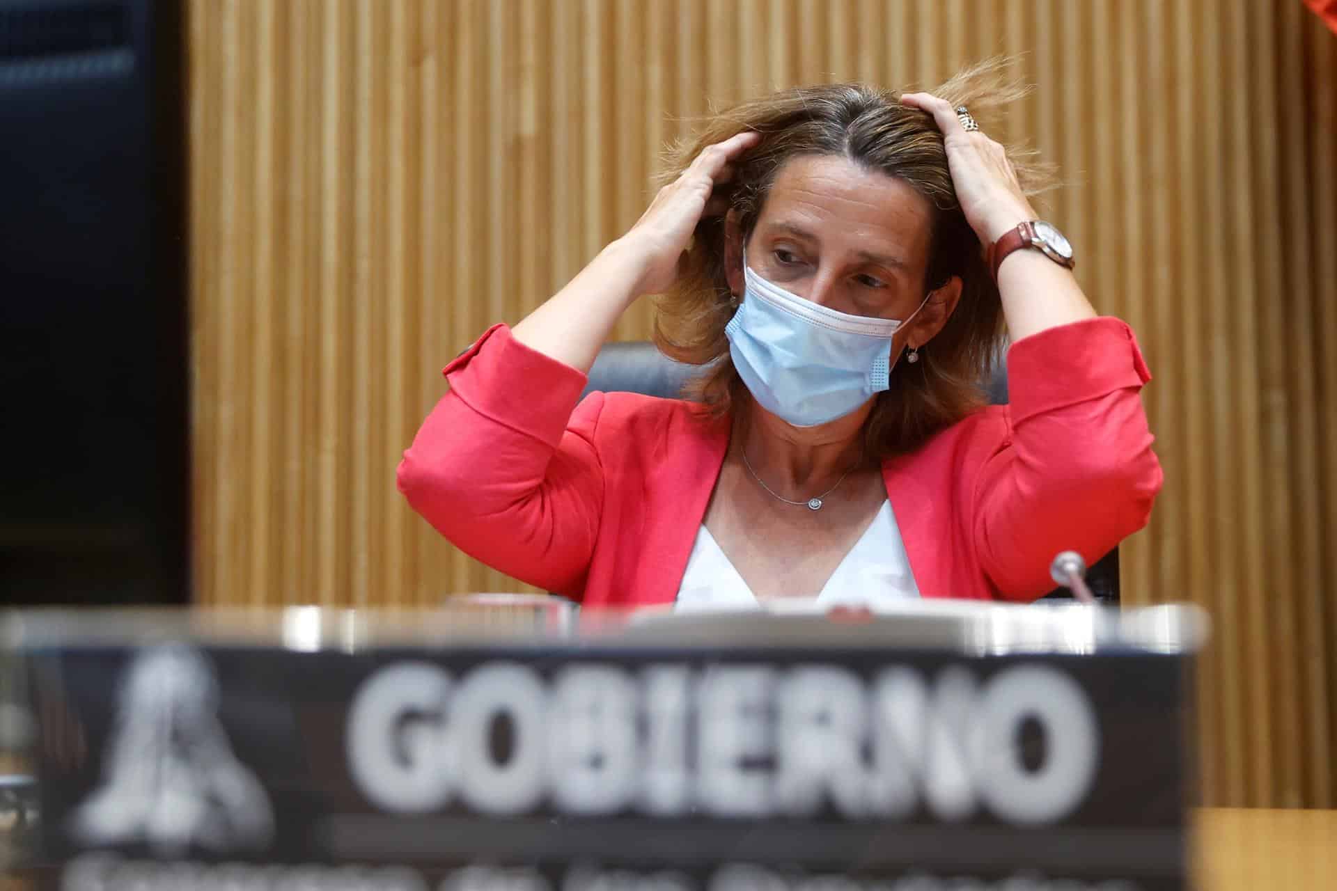 La ministra Teresa Ribera, en el Congreso.