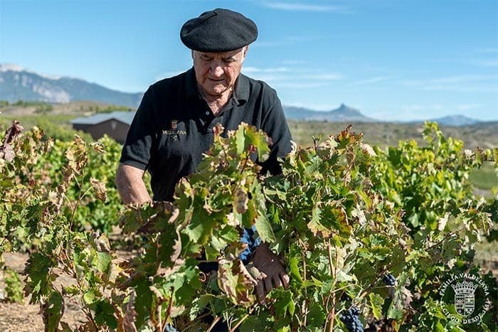 El vino que bebió Jesucristo en La última cena ahora es español