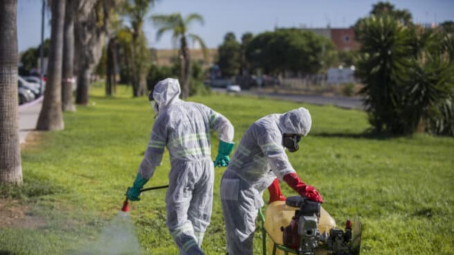 Un trabajador durante las labores de fumigación contra los mosquitos causantes del virus del Nilo en Coria del Río, (Sevilla)