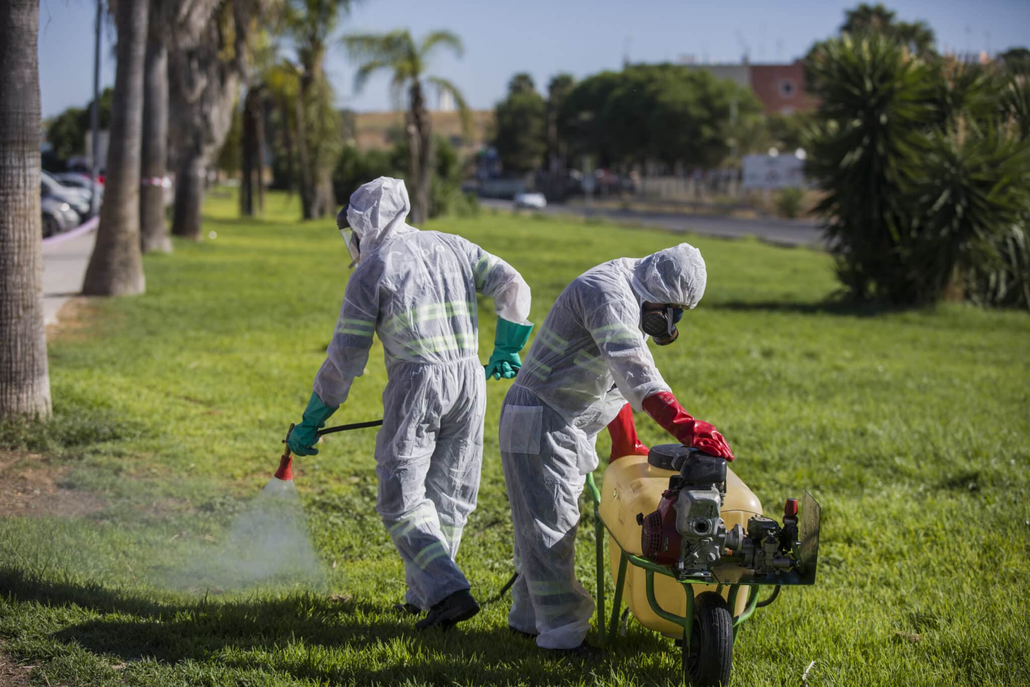 Un trabajador durante las labores de fumigación contra los mosquitos causantes del virus del Nilo en Coria del Río, (Sevilla)