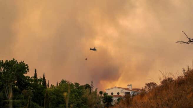 INCENDIO DE SIERRA BERMEJA