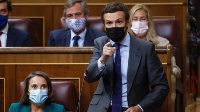 Pablo Casado, en la sesión de control del Congreso. Pablo Casado, en la sesión de control del Congreso.