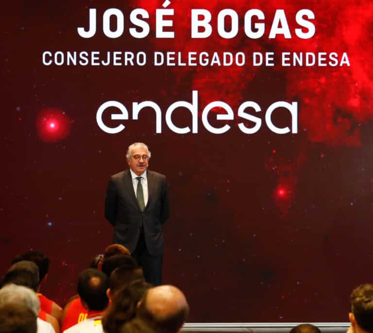 Endesa pide al Gobierno "ser más valiente" y tomar medidas sobre el gas
