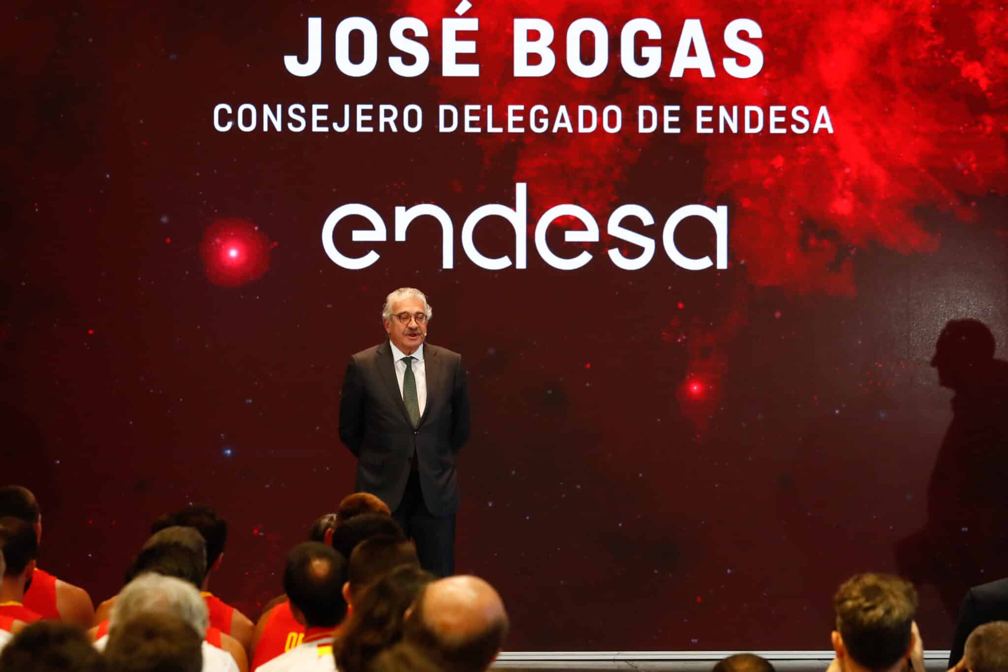 José Bogas, consejero delegado de Endesa.