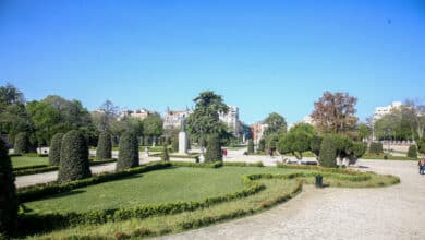 El Retiro y ocho parques de Madrid balizan zonas tras activarse la alerta amarilla por rachas de viento