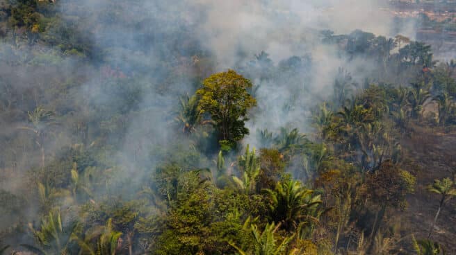 Las llamas arrasan con el Amazonas