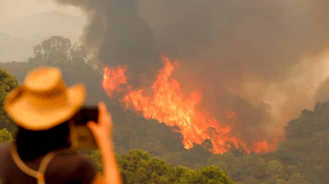 Incendio en Sierra Bermeja (Málaga).