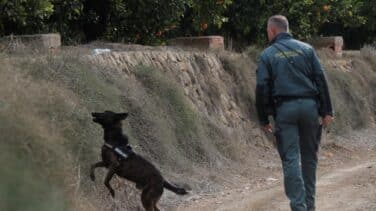 Reactivan la búsqueda de Marta Calvo en Manuel (Valencia)