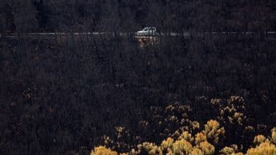 Bomberos siguen apagando puntos calientes en el incendio de Sierra Bermeja