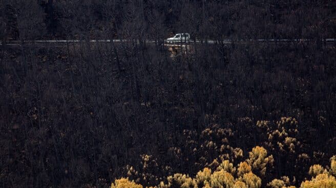 n coche circula en la zona del puerto de Las Peñas Blancas, Estepona (Málaga), entre los arboles quemados por el incendio de Sierra Bermeja que ha arrasado 9.670 hectáreas en el sudoeste de la provincia malagueña