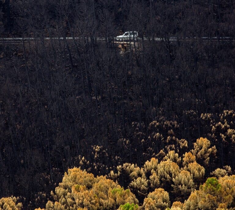 Bomberos siguen apagando puntos calientes en el incendio de Sierra Bermeja