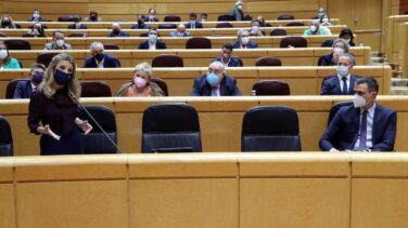 Podemos teme "fuego amigo" del PSOE cuando Díaz confirme su candidatura