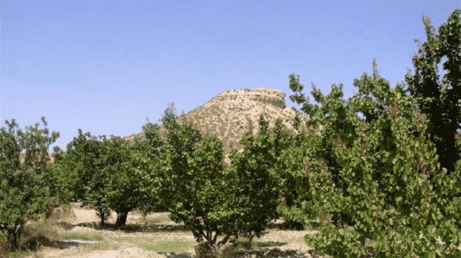 El único granero fortificado andalusí de España, en Murcia, con un pie fuera de Patrimonio El yacimiento del Cabezo de la Cobertera, en Murcia, recién incluido en la Listas Roja de Patrimonio