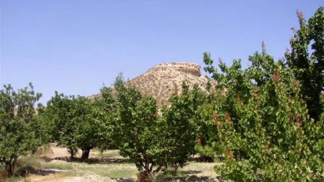 El único granero fortificado andalusí de España, en Murcia, con un pie fuera de Patrimonio