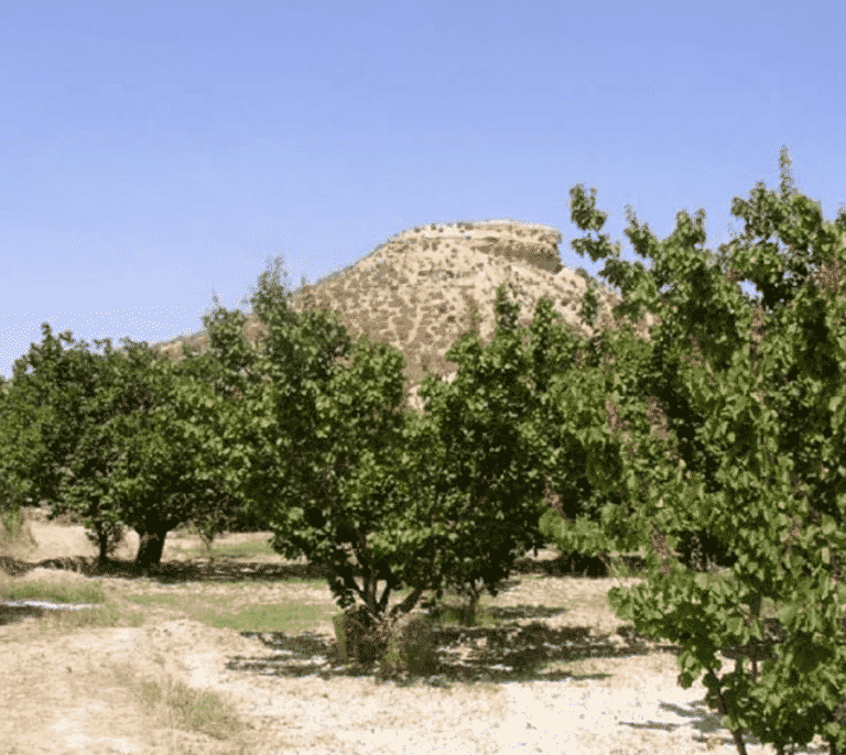 El único granero fortificado andalusí de España, en Murcia, con un pie fuera de Patrimonio