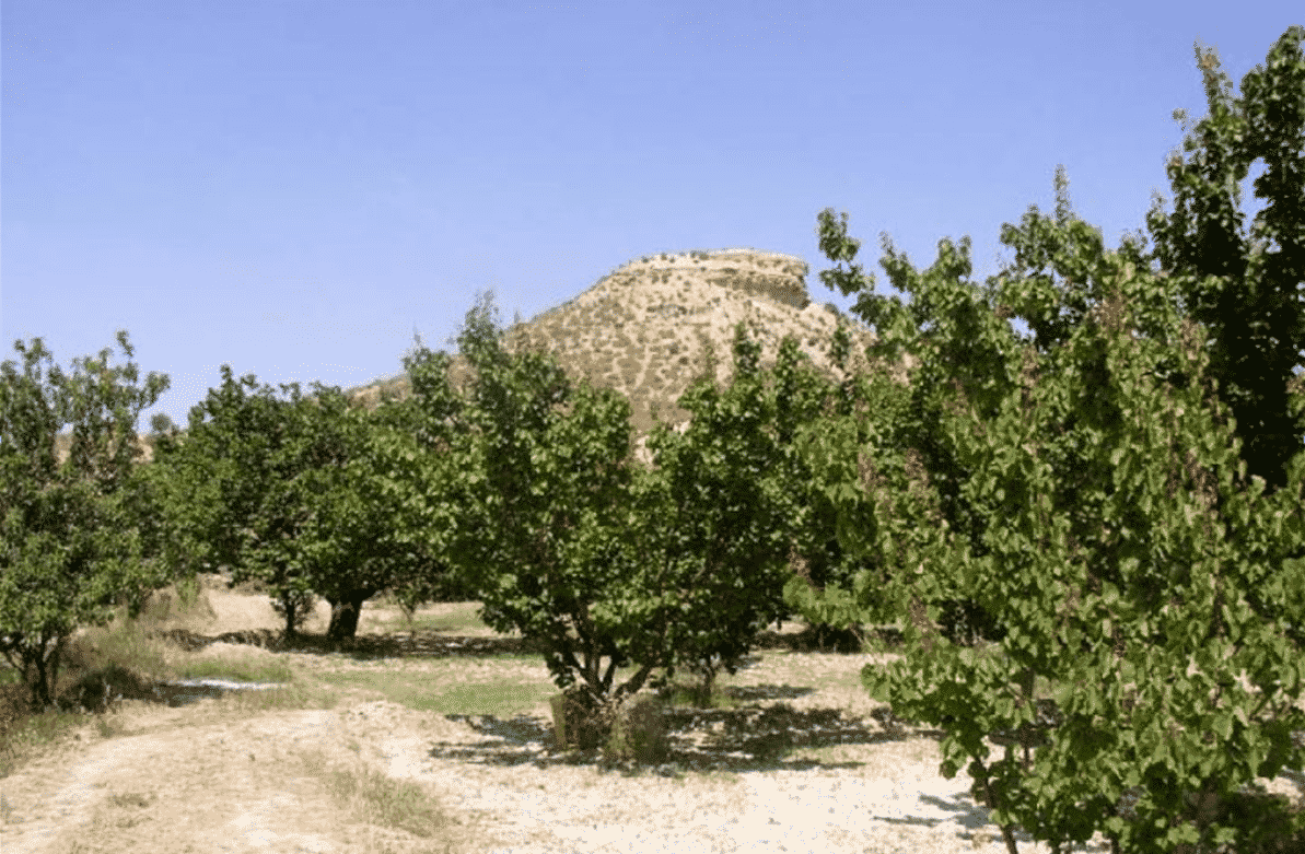El yacimiento del Cabezo de la Cobertera, en Murcia, recién incluido en la Listas Roja de Patrimonio
