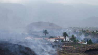 Recalificaciones, un vacío legal y un futuro fértil: qué pasará con las propiedades arrasadas por la lava