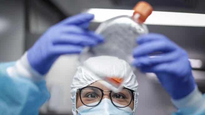 Laboratorio de Virología Molecular de la Universidad Federal de Río de Janeiro, en Brasil.