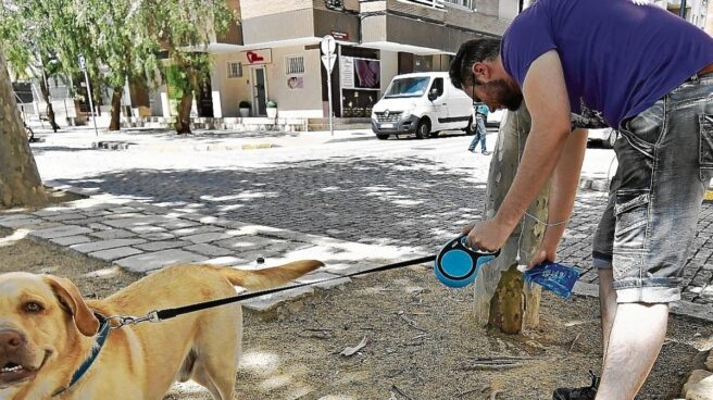 El dueño de un perro limpia el orín que ha hecho la mascota en un árbol