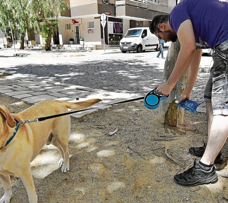 Valencia obligará a los dueños de los perros a limpiar sus orines