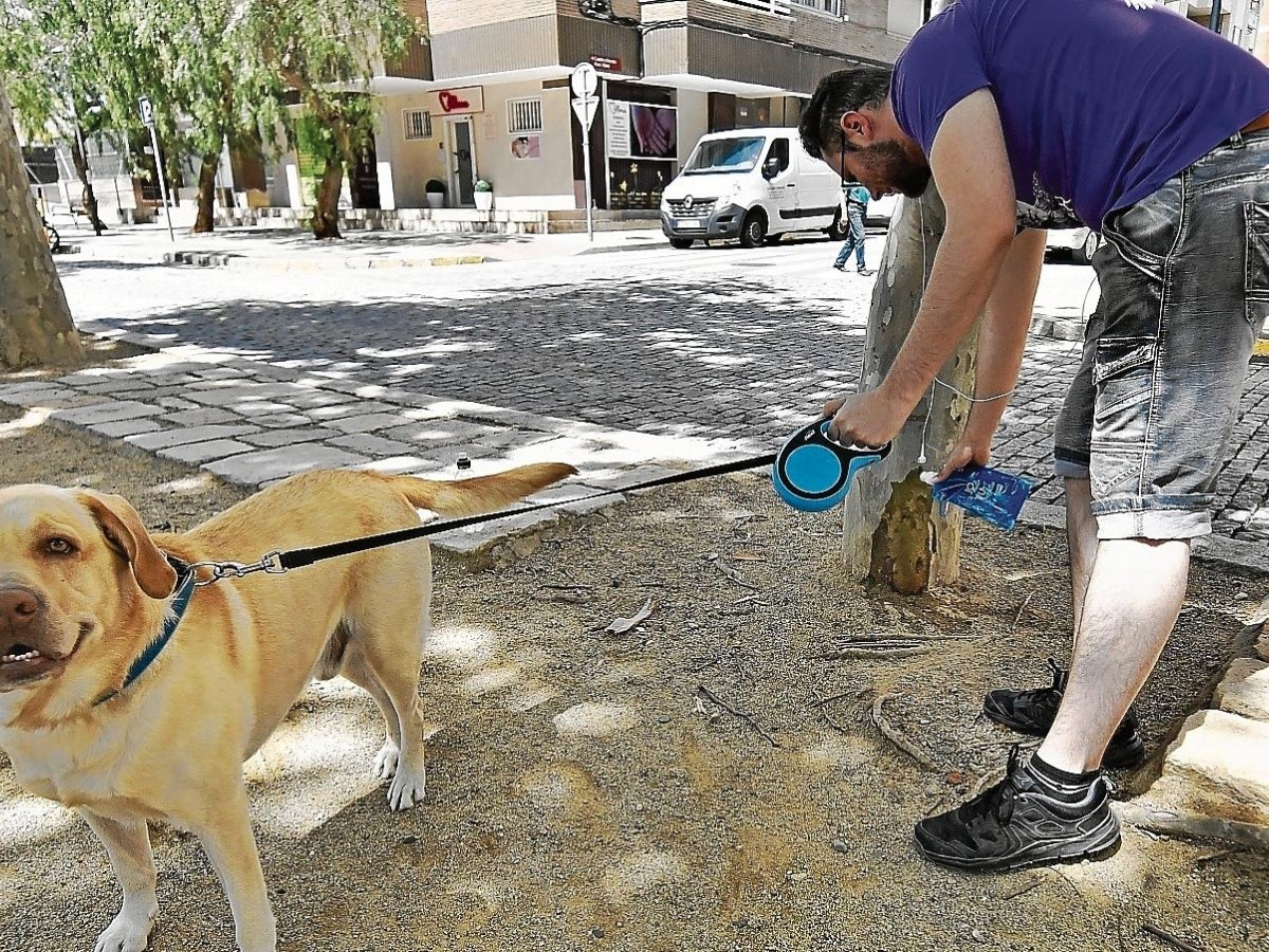 El dueño de un perro limpia el orín que ha hecho la mascota en un árbol