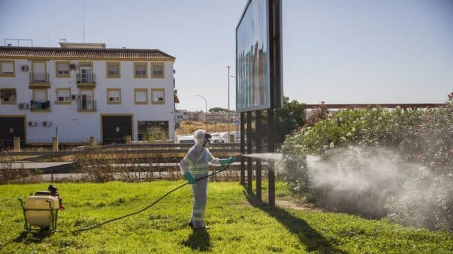 Sevilla.-Junta destaca su "compromiso" contra virus del Nilo pero insiste en que la desinsectación es competencia local