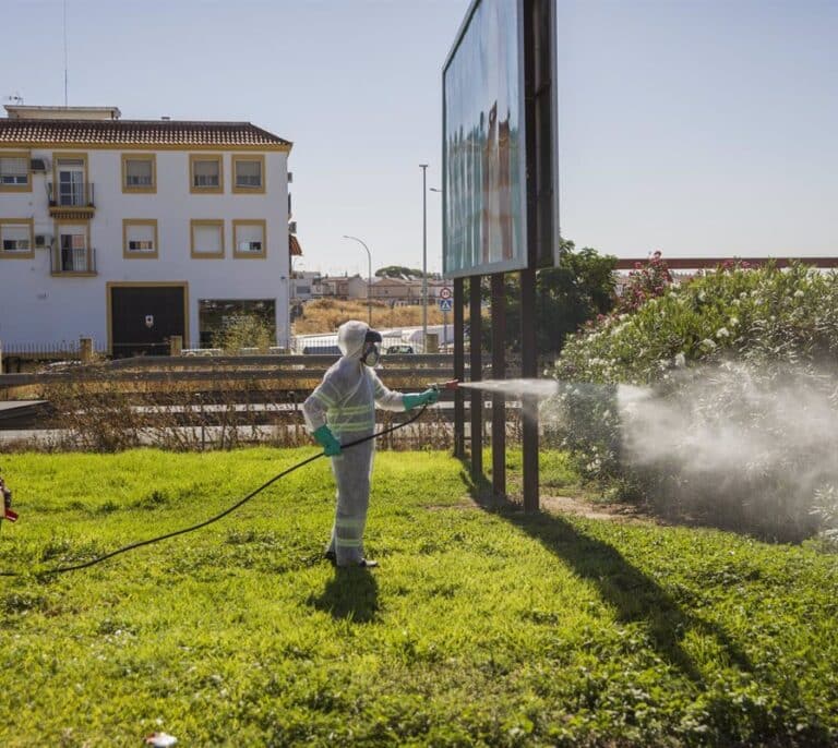 La Junta confirma un caso de Virus del Nilo en Sevilla