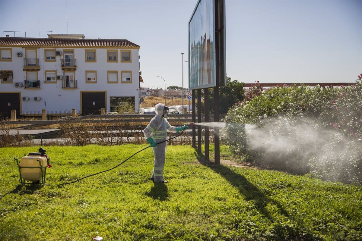 La Junta confirma un caso de Virus del Nilo en Sevilla