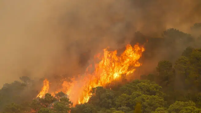 Las condiciones meteorológicas mejoran en el incendio de Sierra Bermeja