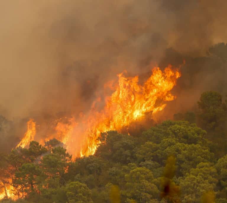 Las condiciones meteorológicas mejoran en el incendio de Sierra Bermeja