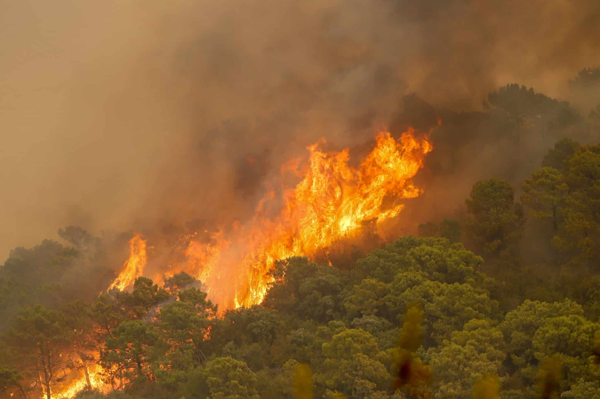 Incendio de Sierra Bermeja (Málaga)