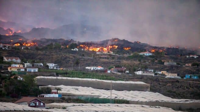 La lava entra en plataneras y quema plástico de invernaderos y fertilizantes Vistas del volcán Cumbre Vieja expulsando lava y piroclasto, tomadas desde la montaña de La Lagunas donde hay invernaderos de plátanos, a 28 de septiembre en Las Manchas, La Palma, Santa Cruz de Tenerife, Canarias (España).