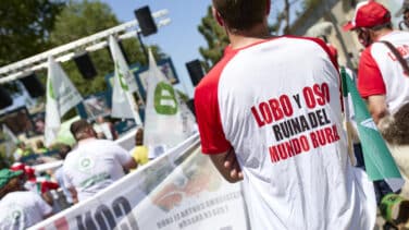 Cantabria, Asturias, Galicia y Castilla y León se unen para frenar en los tribunales la prohibición de caza del lobo