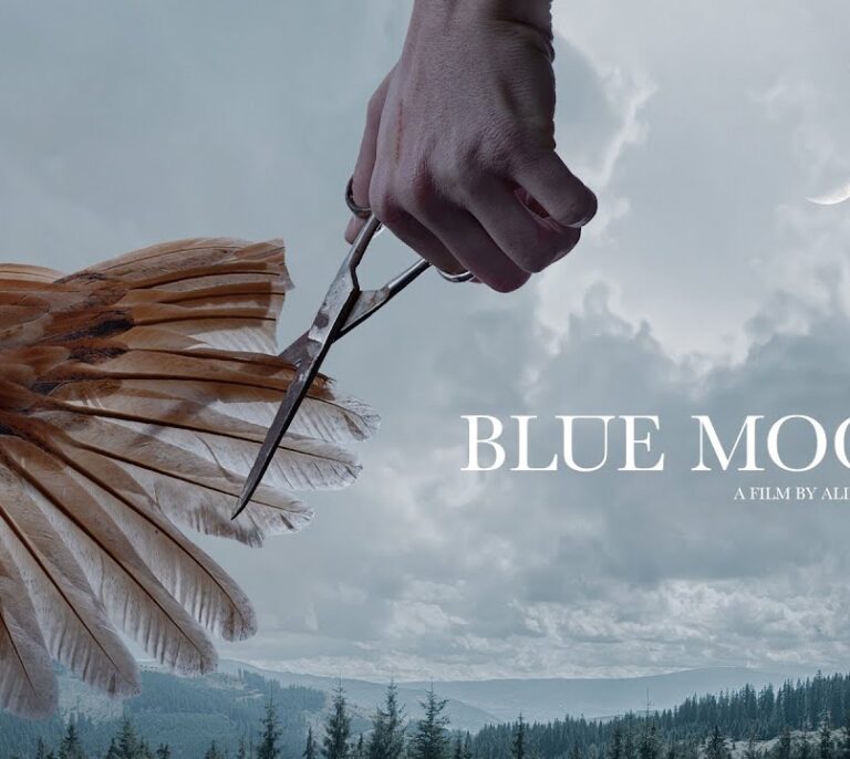 'Blue Moon', la ópera prima de la rumana Alina Grigore, gana la Concha de Oro