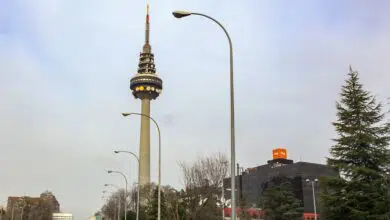 RTVE excluye a El Corte Inglés del megacontrato para la vigilancia.