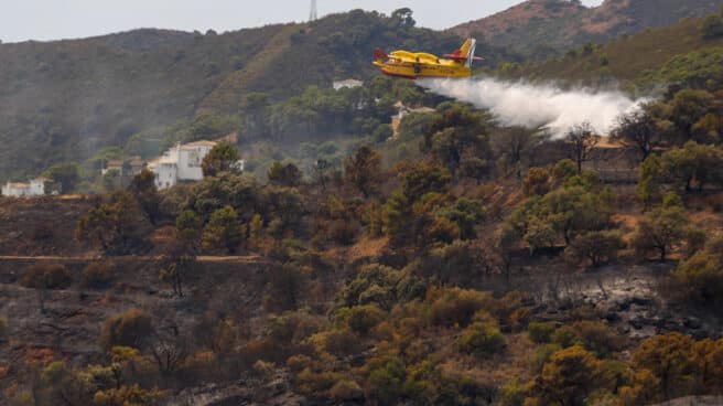 Avión en los parajes calcinados por el incendio en Sierra Bermeja