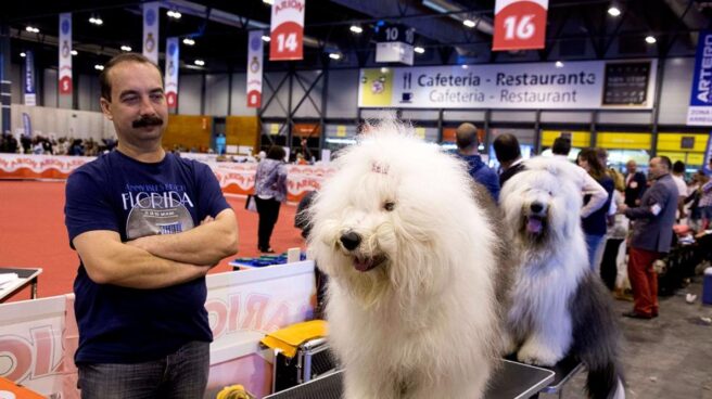 Perros en la feria de Ifema '100x100 mascota'