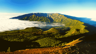 Cuántos habitantes tiene la isla de La Palma